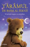 Tăr&acirc;mul de basm al iernii - Paperback brosat - Răzvan Andrei - Litera