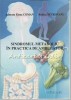 Sindromul Metabolic: Practica Ambulator - Adorata Elena Coman, Rodica Petrovanu, Editura PIM, Iasi, 2009, Medicina