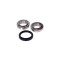 Set rulment roata FORD ESCORT `91 Express AVL FAG 713 6788 10