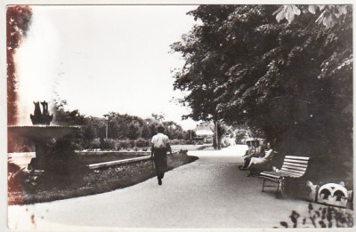bnk cp Rosiorii de Vede - Vedere din parc - necirculata foto