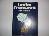 Limba Franceza Curs Intensiv - Mihaela Gulea Henry-pierre Blottier , 20861