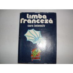 Limba Franceza Curs Intensiv - Mihaela Gulea Henry-pierre Blottier , 20861