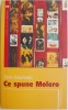 Ce spune Molero &ndash; Dinis Machado - Roman Beletristica