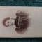 SUPERBA fotografie , anii 1880,atelier celebru KESTLER PLOESCI , distinsa doamna .dimensiuni 11 cm x 6 cm