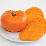 Rosii , tomate suculente Soiul ORANGE SUN - 10 seminte pentru semanat