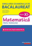 Simularea examenului de bacalaureat. Matematica. Clasa a XI-a. Profil tehnologic. | Ovidiu Badescu, Lucian Dragomir, Adriana Dragomir