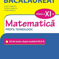 Simularea examenului de bacalaureat. Matematica. Clasa a XI-a | Ovidiu Badescu, Lucian Dragomir, Adriana Dragomir