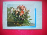HOPCT 25101 FLORI -FELICITARE ANIVERSARA -CP VECHE -IP--INTREG POSTAL - ROMANIA - CIRCULATA
