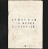 &Icirc;ndrumări &icirc;n Munca cu Pionierii - Editura Tineretului, Carte Epoca de Aur, Pionieri