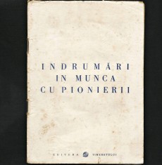 &Icirc;NDRUMĂRI &Icirc;N MUNCA CU PIONIERII - EDITURA TINERETULUI