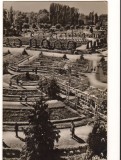 CPIB 16444 CARTE POSTALA - TIMISOARA. VEDERE DIN PARCUL &quot;STEFAN PLAVAT&quot;, RPR, Circulata, Fotografie