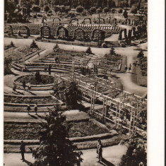 CPIB 16444 CARTE POSTALA - TIMISOARA. VEDERE DIN PARCUL "STEFAN PLAVAT", RPR