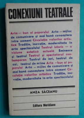 Amza Saceanu &amp;ndash; Conexiuni teatrale ( critica de teatru ) foto