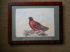 Patru desene color cu pensula &quot;Pasari&quot; , rama/paspartu/sticla