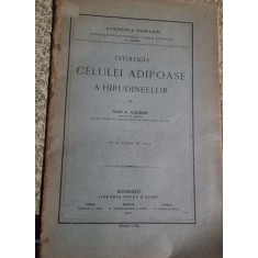 Ioan A. Scriban - Citologia celulei adipoase a hirudineelor