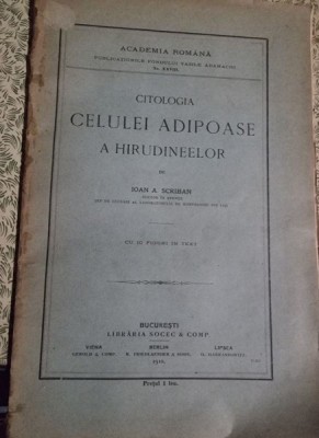 Ioan A. Scriban - Citologia celulei adipoase a hirudineelor foto