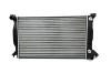 Radiator Racire Motor 98711 TH.01.224
