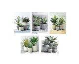Cumpara ieftin Set 5 tablouri decorative olegrafie pe panza Flowers 3 x 15 x 20 cm, 2 x 25 x 25 cm