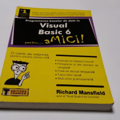 Visual Basic 6 PENTRU AMICI--RICHARD MANSFIELD RF14/2