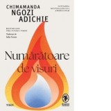 Numaratoare de visuri - Chimamanda Ngozi Adichie, Iulia Gorzo
