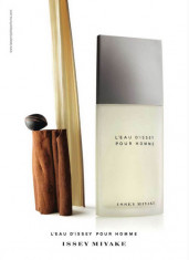 Issey Miyake L&amp;#039;Eau D&amp;#039;Issey Pour Homme Set (EDT 125ml + EDT 15ml + SG 75ml) pentru Barba?i foto