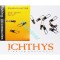 Agrafa culisanta nr.2 - Ichthys