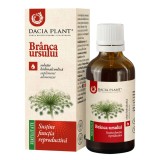 Tinctură Br&acirc;nca Ursului, 50 ml, Dacia Plant