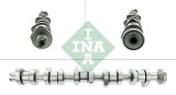 INA 428 0111 10 Ax cu came
