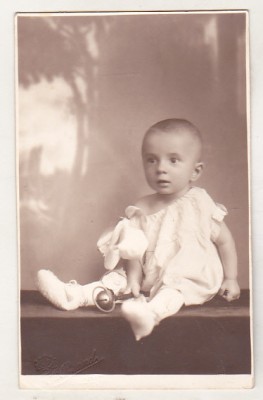 bnk foto Portret de copil - Foto F A Brand Ploiesti foto