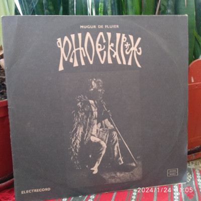 -Y- FORMATIA PHOENIX - MUGUR DE FLUIER - DISC VINIL LP foto