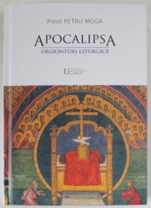 APOCALIPSA , ORIZONTURI LITURGICE , JURNAL DE LECTURA de PETRU MOGA , 2023 *MICI DEFECTE foto