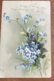 CPISTR8 Ilustrata Timisoara Flori Nu Ma Uita Relief Timbru Turul 1912 / Vintage Temesvar Postcard Forget-Me-Not Flowers Turul Stamp 1912