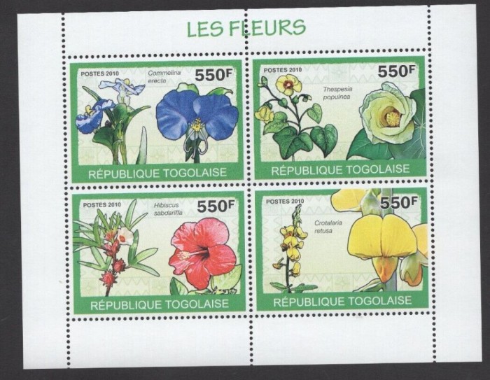 TOGO 2010 FLORI
