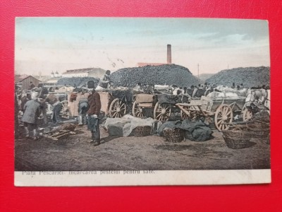 Galati Piata Pescariei Incarcarea pestelui pentru sate foto