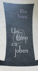 Un timp cu joben (Ed. pentru literatura) foto