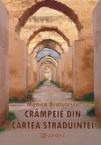 Cumpara ieftin Crampeie din cartea straduintei/Monica Bratulescu