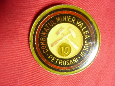 Insigna Combinatul Minier Valea Jiului Petrosani -10 Ani, metal si email , d=3cm foto