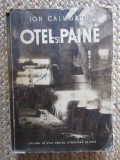 ION CALUGARU - OTEL SI PAINE