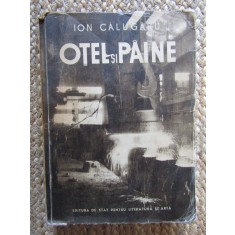 ION CALUGARU - OTEL SI PAINE