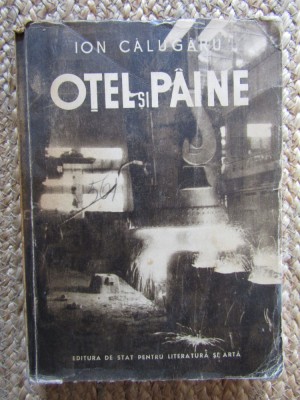 ION CALUGARU - OTEL SI PAINE foto