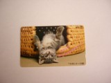 B11 65 - Carduri si cartele telefonice - Japonia - Pisici - piesa de colectie