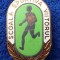 Insigna elevi Pionieri Scoala Sportiva VIITORUL - email la cald Superba