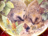 FARFURIE DECORATIVA PORTELAN ENGLEZESC STAFFORDSHIRE FINE BONE CHINA - ARICI