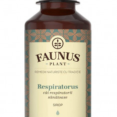 Sirop respiratorus 200ml (cai respiratorii sanatoase)