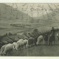 cp Romania Christos a inviat ! - 1916