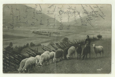 cp Romania Christos a inviat ! - 1916 foto