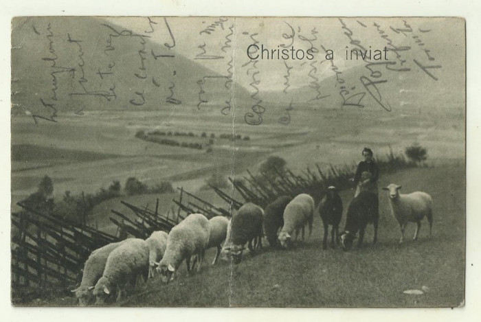 cp Romania Christos a inviat ! - 1916