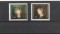 Foto  - 1