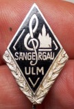 I.809 INSIGNA GERMANIA STICKPIN MUZICA COR CHEIA SOL S&Auml;NGERGAU ULM h23mm email