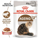 Cumpara ieftin Royal Canin Ageing 12+, hrana umeda pisica senior in sos/ gravy, 12x85 g